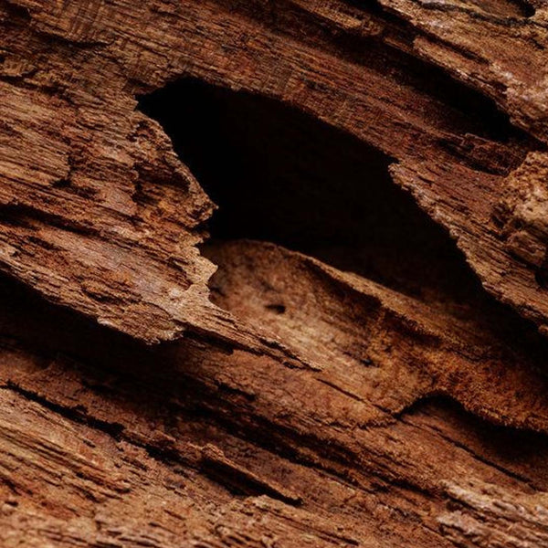 Akigalawood