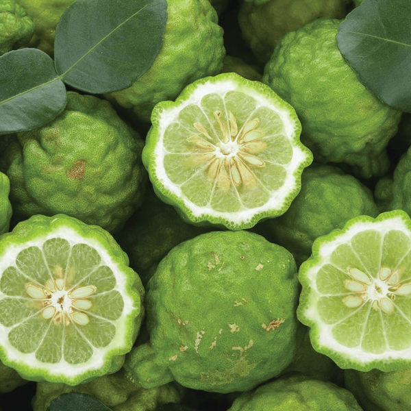 Bergamot