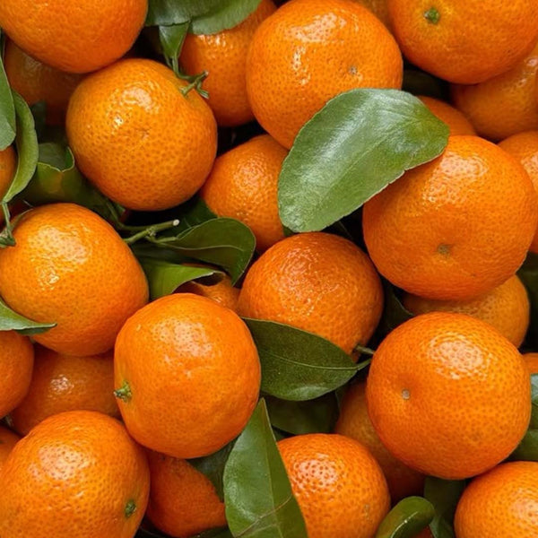 Mandarin