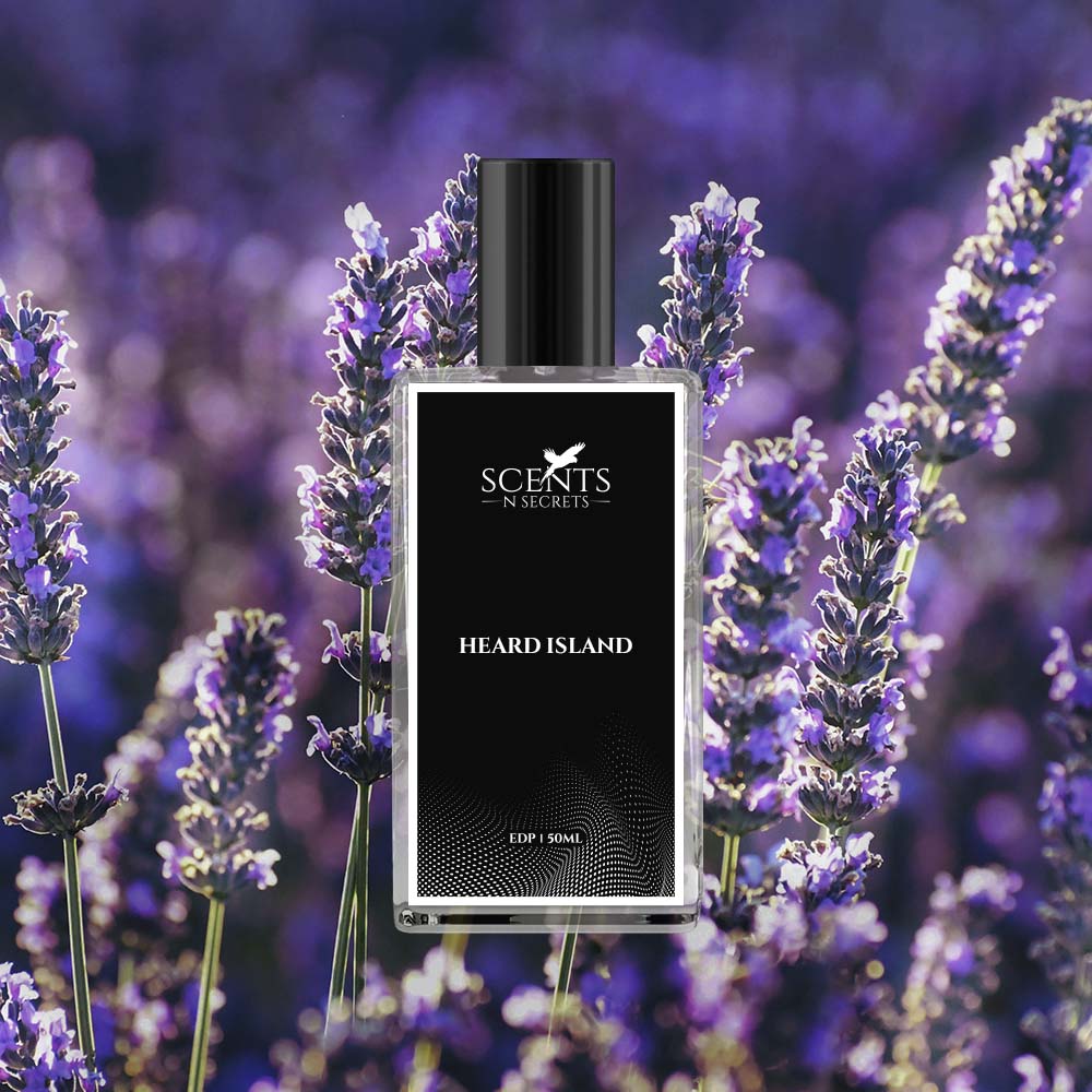 Heard Island Inspired By Eternity Perfume Scents N Secrets
