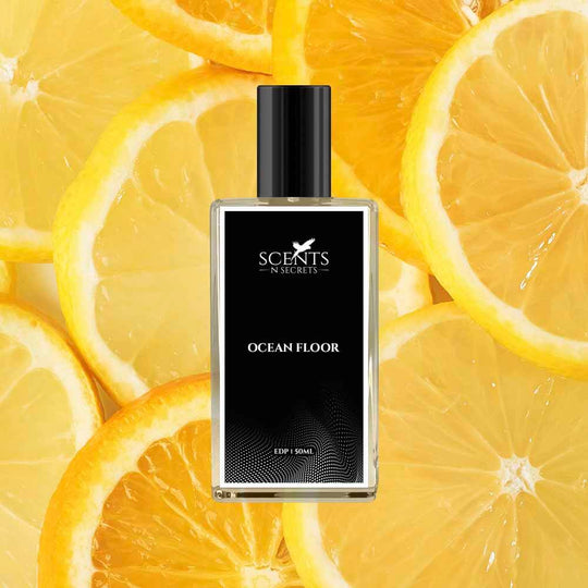 Scents N Secrets | The Leading Brand of Perfumes in Pakistan