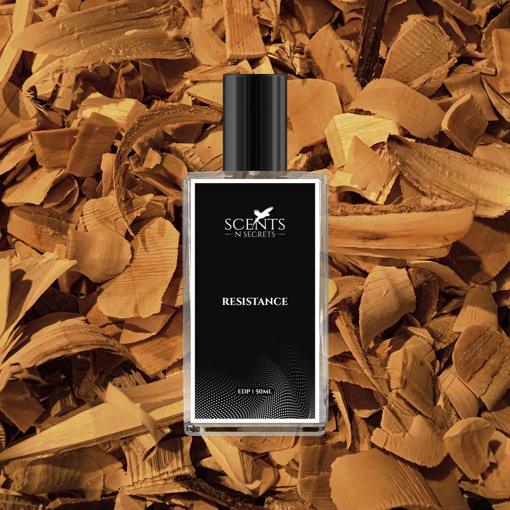 Resistance Inspired By Fahrenheit Perfume Scents N Secrets