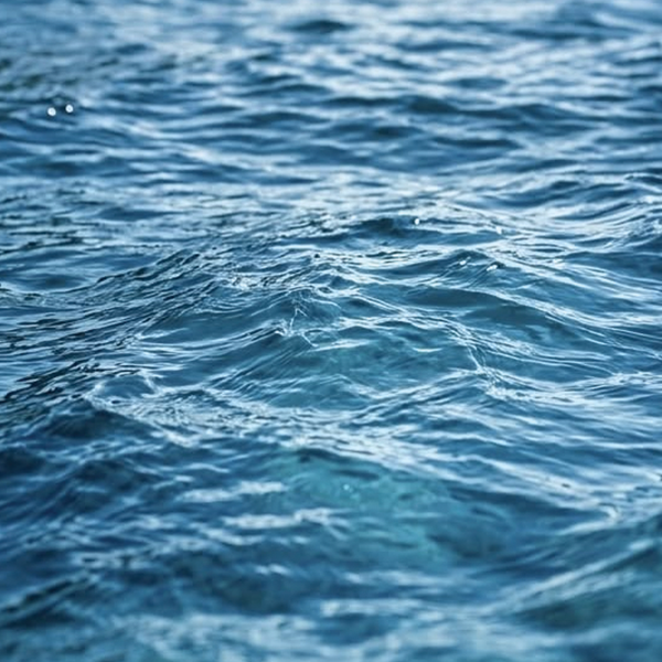 Sea Notes